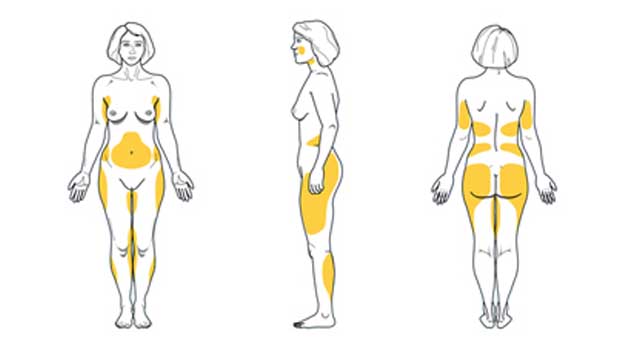 los-tres-tipos-de-grasa-corporal-y-su-influencia-en-la-salud:-blanca,-marron-y-beige