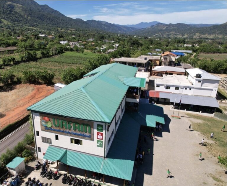 inicia-este-viernes-exposicion-colectiva-de-artes-visuales-“corazones-verdes”-uafam