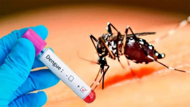 Llegan a Paraguay las primeras 70 200 dosis de la vacuna contra el dengue llegan-a-paraguay-las-primeras-70-200-dosis-de-la-vacuna-contra-el-dengue