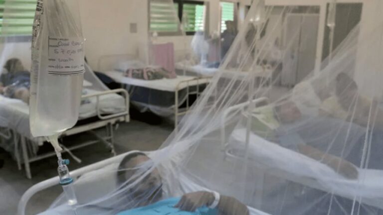 cuba-eleva-a-40.174-el-numero-total-de-casos-de-chikunguna-en-la-actual-epidemia