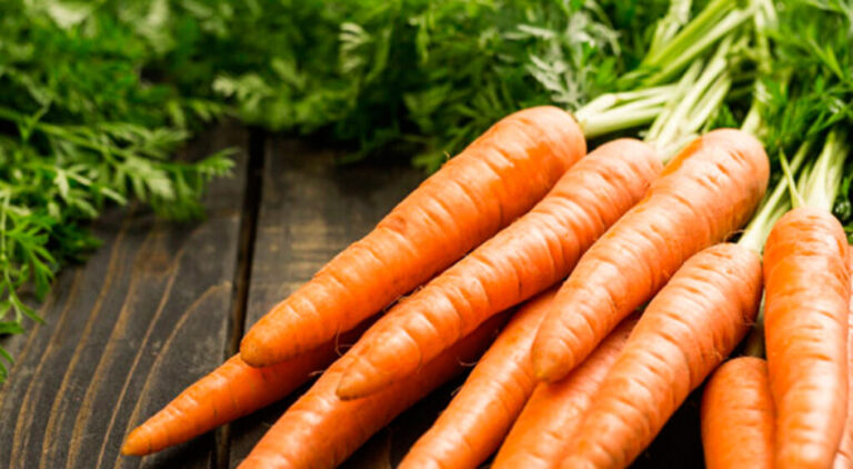 La zanahoria, un aliado natural para la salud integral la-zanahoria,-un-aliado-natural-para-la-salud-integral