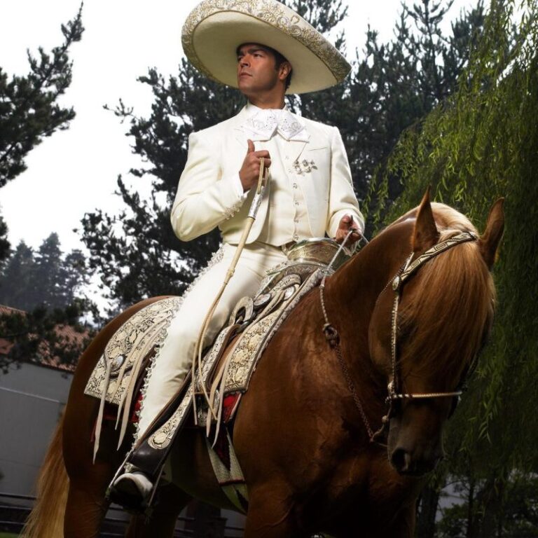pablo-montero-regresa-a-rd-con-dos-conciertos-en-homenaje-a-vicente-fernandez