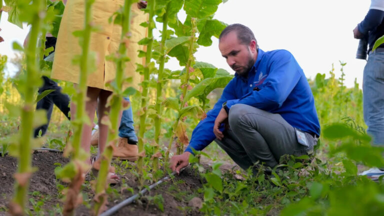 Tecnificación de Riego impulsa transformación del campo con modelo de modernización agrícola tecnificacion-de-riego-impulsa-transformacion-del-campo-con-modelo-de-modernizacion-agricola