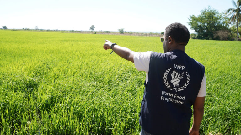 Programa Mundial Alimentos Activa Campaña Preventiva 2026 Enfocada programa-mundial-alimentos-activa-campana-preventiva-2026-enfocada