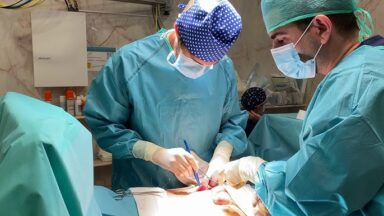Cirugía de alargamiento de pene genera falsas expectativas, advierte urólogo.