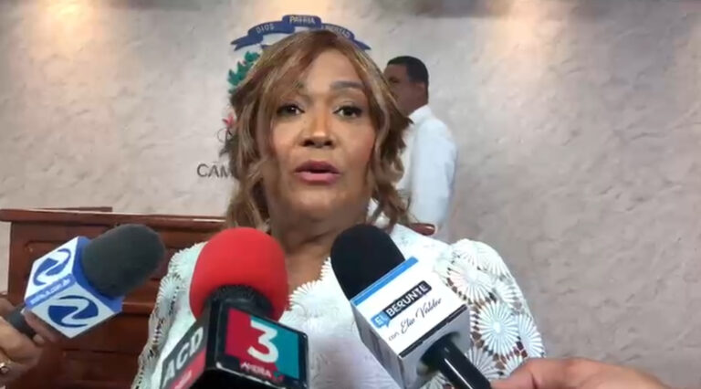 Presidenta del bloque de diputados del PLD dice peor sombra del gobierno es el endeudamiento externo