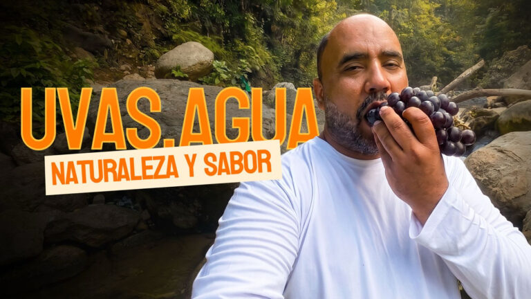 Sabor de la Calle muestra la riqueza agrícola, natural y cultural de Bahoruco