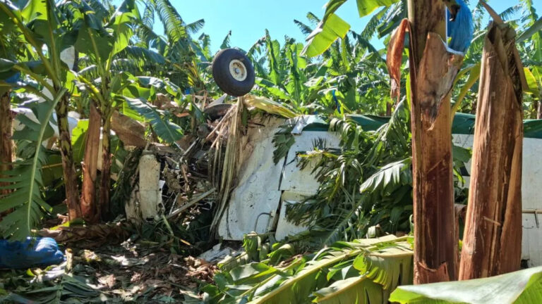 Avioneta se estrella en Hatillo Palma tras supuesto choque con un dron