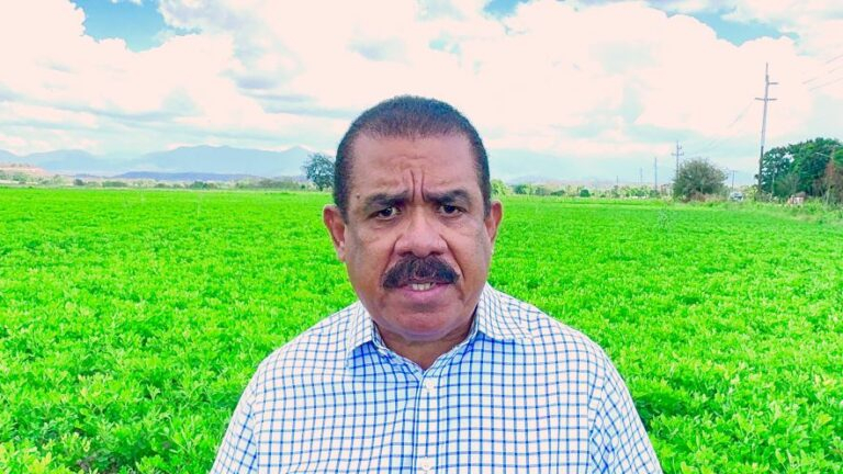 Importaciones de arroz aumentaron 161.6 % y Sánchez Roa pide revisar el DR-CAFTA